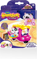 Hamsters In A House